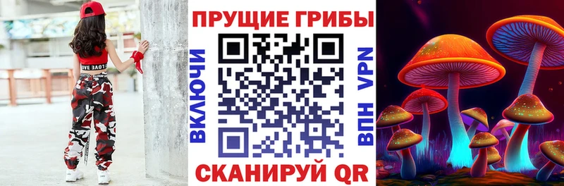 как найти   Анжеро-Судженск  Псилоцибиновые грибы Psilocybe 